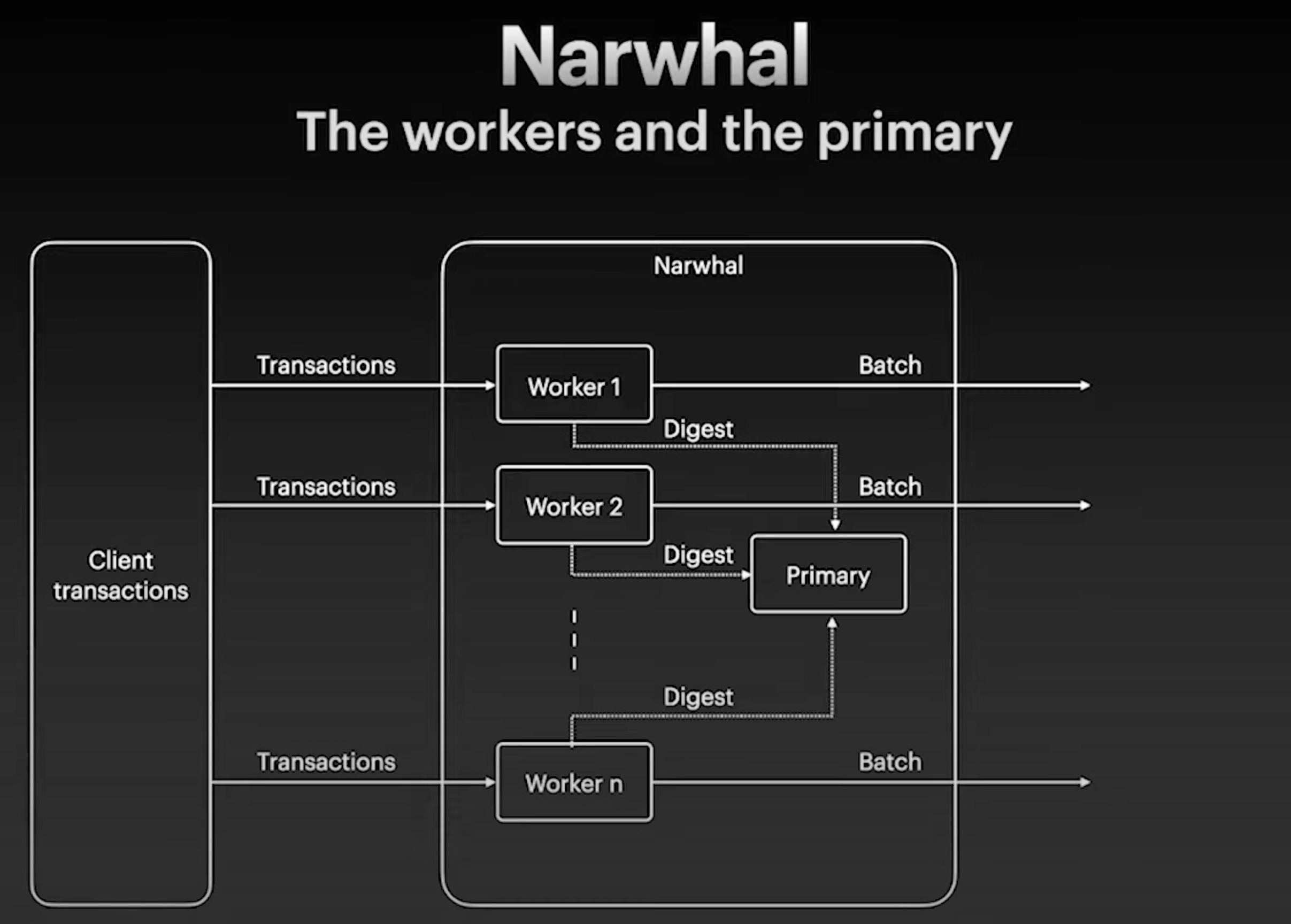 Narwhal