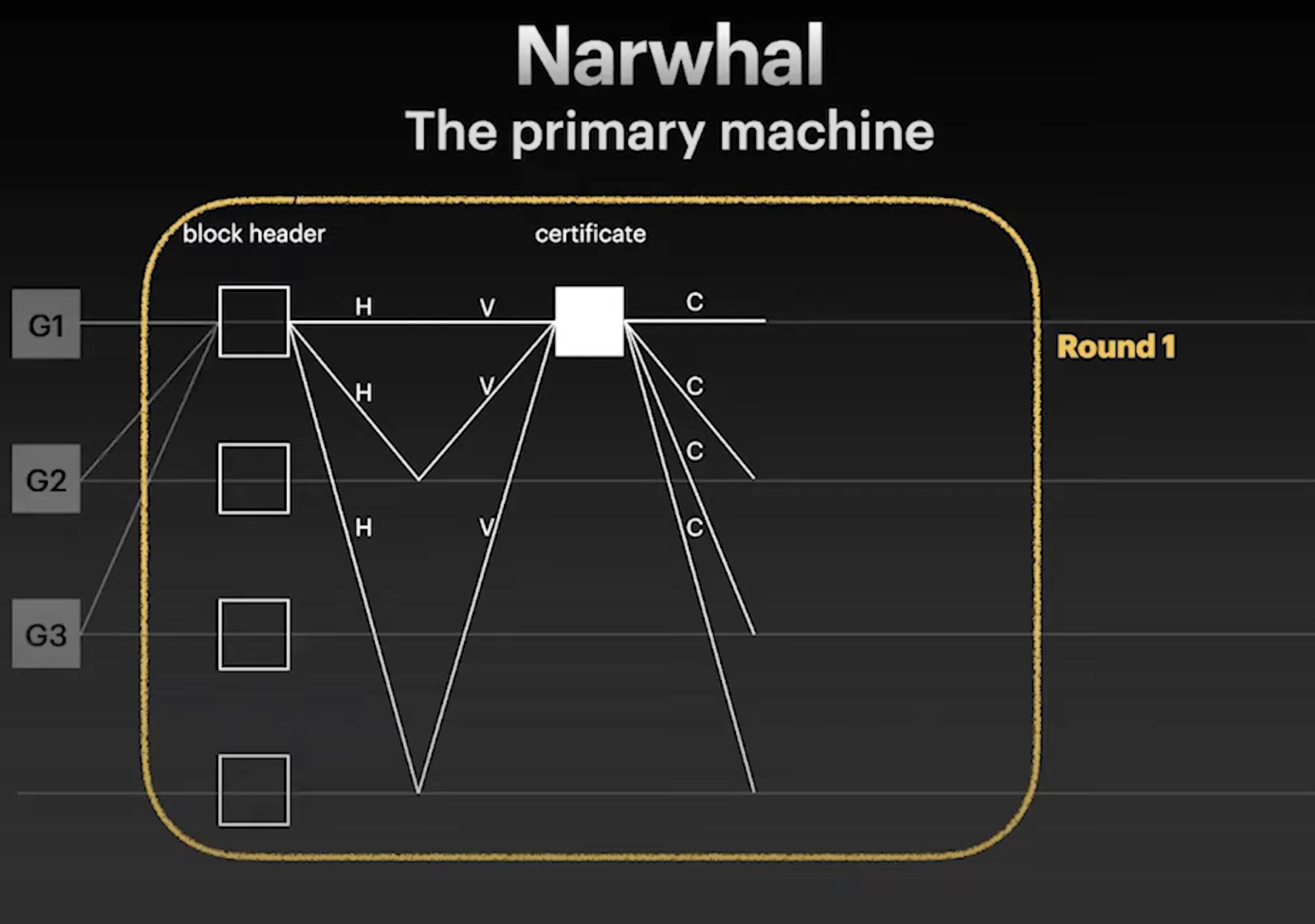 Narwhal2